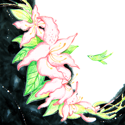 a first flower Front Cover