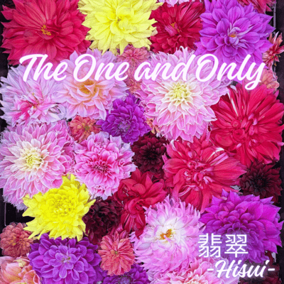 The One and Only Front Cover