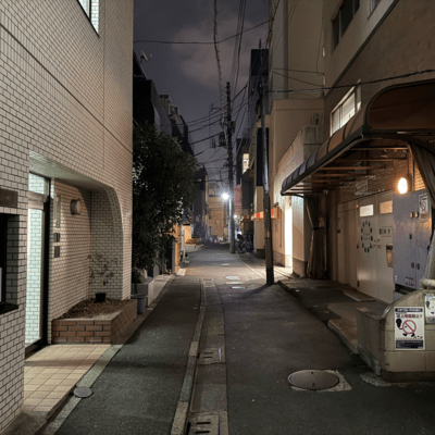Shines at night Front Cover