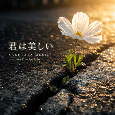KIMI WA UTSUKUSHII Front Cover