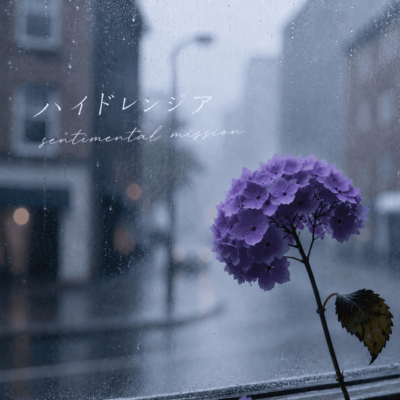 HYDRANGEA Front Cover