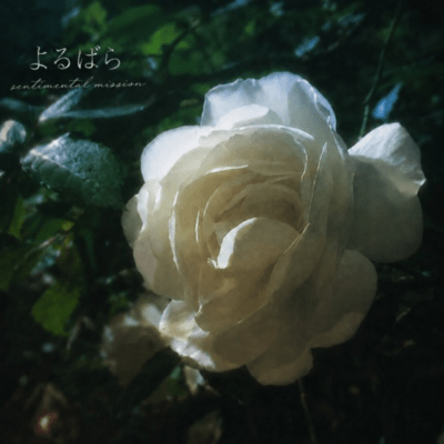 la rose de minuit Front Cover