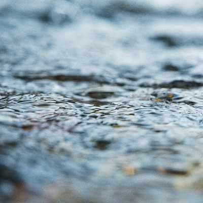 nontitleのジャケット写真