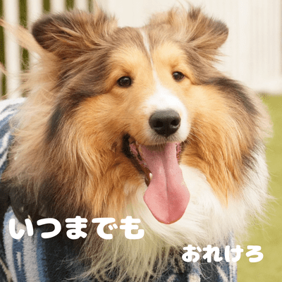 ITSUMADEMO Front Cover