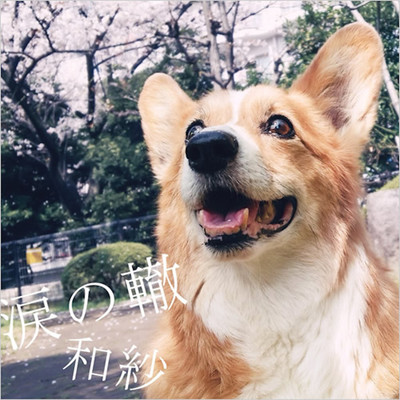 NAMIDA Front Cover