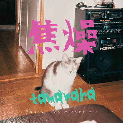 焦燥のジャケット写真