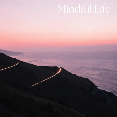 Mindful Life Front Cover