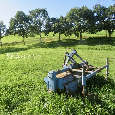 野草のきもちのジャケット写真