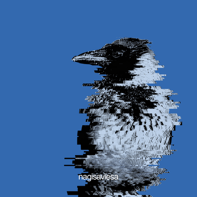 Blue Bird Front Cover