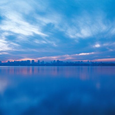 AOKIHANASAKUHOSHI Front Cover