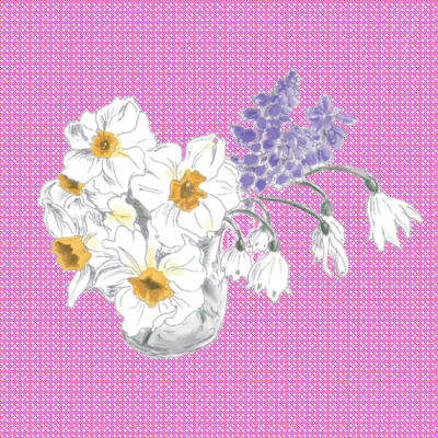 Narcissus Front Cover