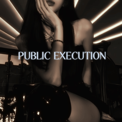PUBLIC EXECUTION Front Cover