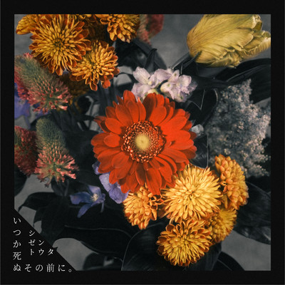 Itsuka shinu sono maeni Front Cover