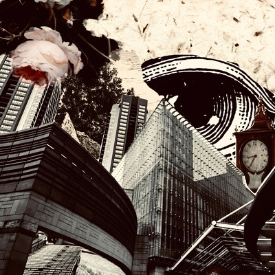 Vague Front Cover