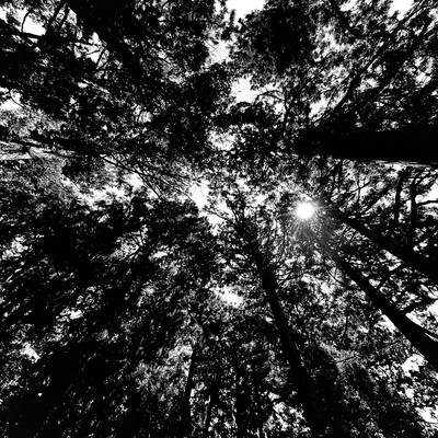 HIKARI (feat. PM Kenobi & MC Sleep)のジャケット写真