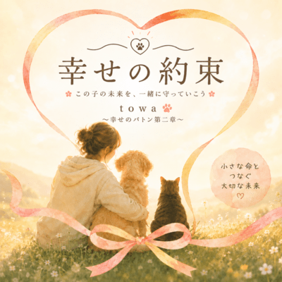 Shiawase no Yakusoku Front Cover