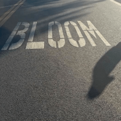 Bloom Front Cover