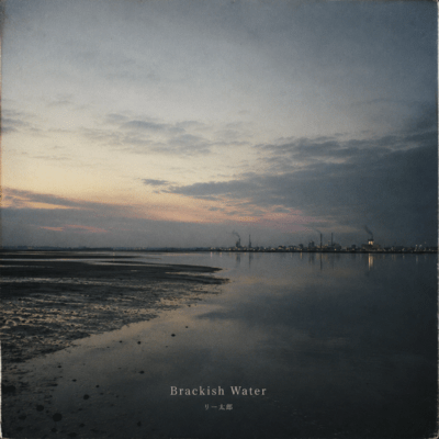Brackish Water Front Cover