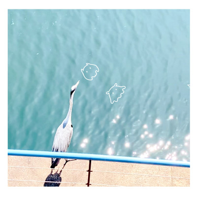 swim Front Cover