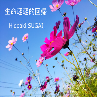 Shen Min Qing Qing de Huai Qu Front Cover