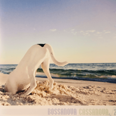 √2のジャケット写真