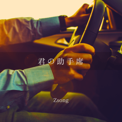 Your passenger seat Front Cover