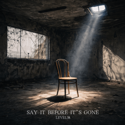 SAY IT BEFORE IT'S GONE Front Cover