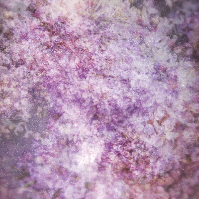 harukaのジャケット写真