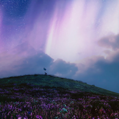 Fragrance Front Cover