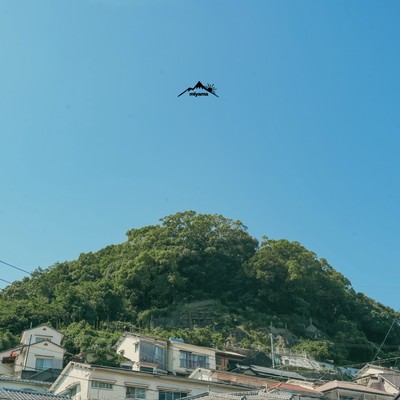 miyama Front Cover