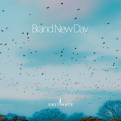 Brand New Day Front Cover
