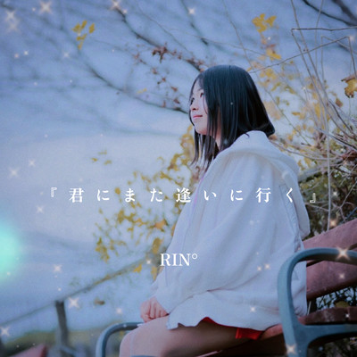 KIMI NI AINI IKU Front Cover