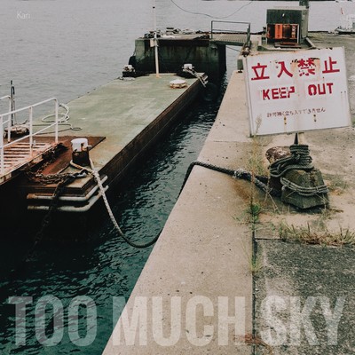 TOO MUCH SKYのジャケット写真
