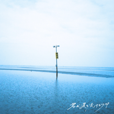 If You Shed Tears Front Cover