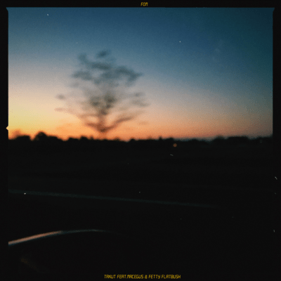 FOM (feat. MACEGUS & Fetty Flatbush) Front Cover