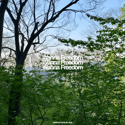 Wanna Freedom Front Cover