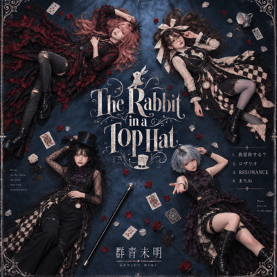 The Rabbit in a Top Hat Front Cover