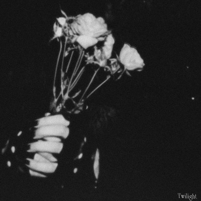 Twilight (Radio Edit Ver) Front Cover