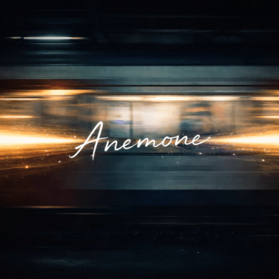 Anemone Front Cover