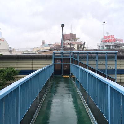 Say hello to a family venereology Front Cover