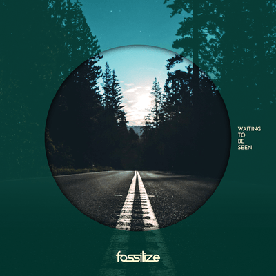 Waiting to Be Seen Front Cover