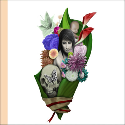 Raison detre no hanataba Front Cover