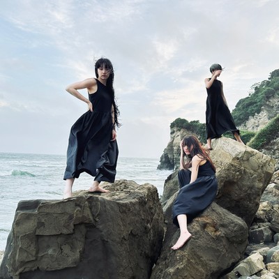 ロックンロールとタイガーリリィのジャケット写真