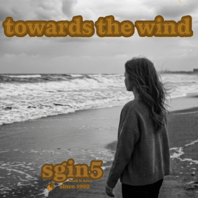 towards the wind Front Cover