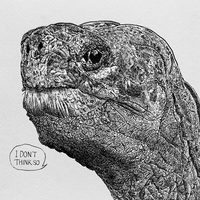 Moopiesのジャケット写真