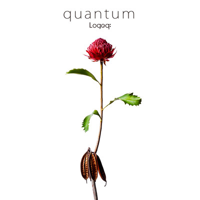 quantum Front Cover