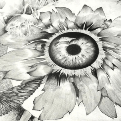 Eye Front Cover