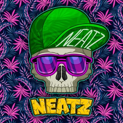 A NEATZ PARTY Front Cover