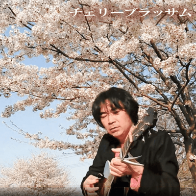 cherry blossom Front Cover