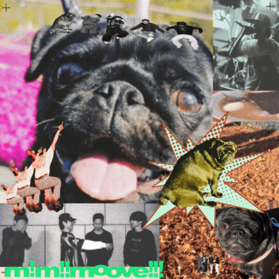 m!m!!moove!!! Front Cover